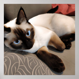 Siamese Digital Porträtt Poster