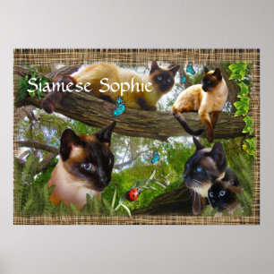 Siamese (din kattunge namn) poster