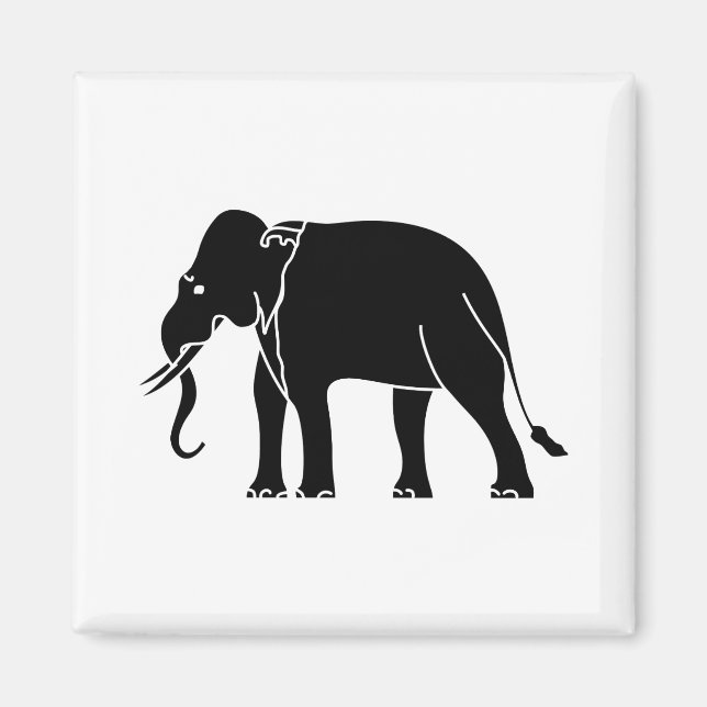 Siamese Elephant Magnet (Framsidan)