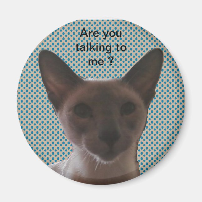 Siamese Fånig Cat Magnet (Framsidan)