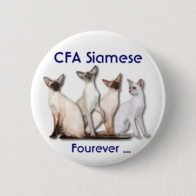 Siamese för evigt knapp (Framsida)