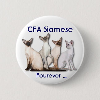 Siamese för evigt knapp