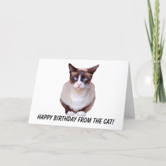 Siamese Grattis på födelsedagen Card Helgkort