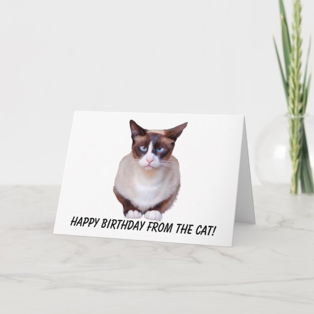 Siamese Grattis på födelsedagen Card Helgkort (Framsida)