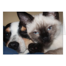 SIAMESE HÄLSNINGSKORT