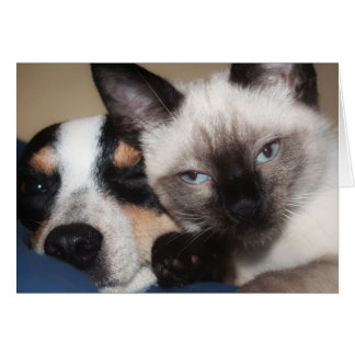 SIAMESE HÄLSNINGSKORT