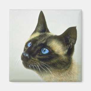 Siamese (head studie) magnet