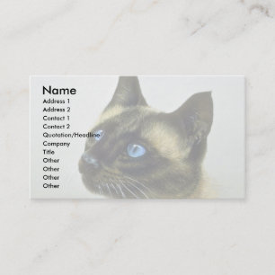 Siamese (head studie) visitkort