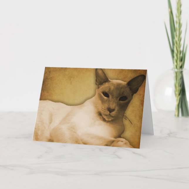 Siamese in Sepia Hälsning Card - Vågrät Kort (Framsida)