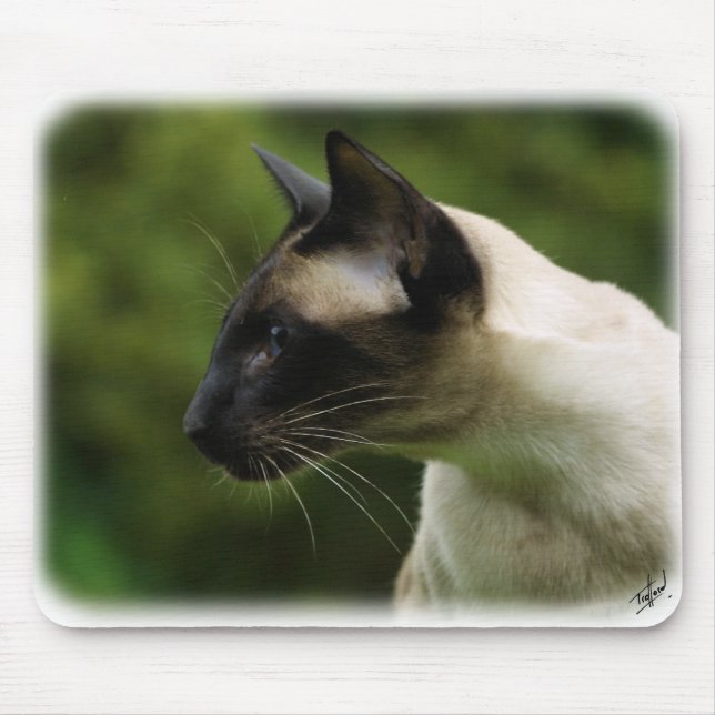 Siamese katt 9W027D-128 Musmatta (Framsidan)