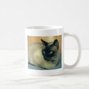 Siamese katt kaffemugg
