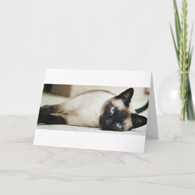 Siamese katt kort (Framsida)