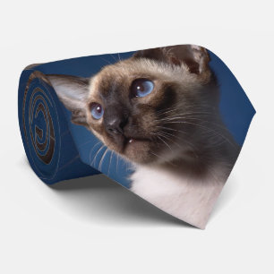 Siamese katt med blåttögon slips