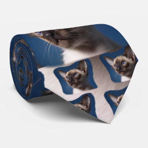 Siamese katt med blåttögon slips