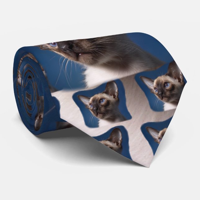 Siamese katt med blåttögon slips (Rullad)