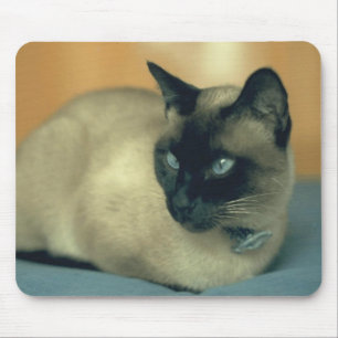 Siamese katt Mousepad Musmatta