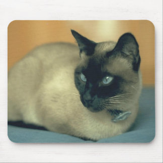 Siamese katt Mousepad Musmatta