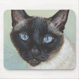 Siamese katt Murphy Musmatta