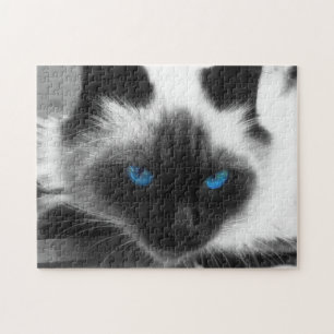 Siamese katt pussel