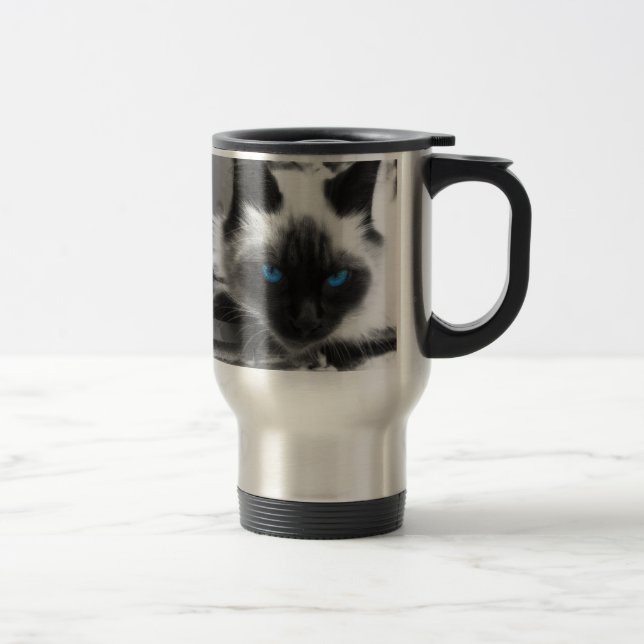 Siamese katt resemugg (Höger)
