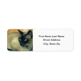 Siamese katt returadress etikett