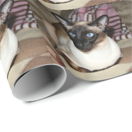 Siamese katt som kopplar av på soffan presentpapper