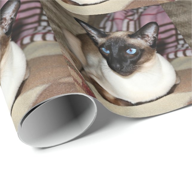 Siamese katt som kopplar av på soffan presentpapper (Rullad Hörn)