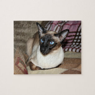 Siamese katt som kopplar av på soffan pussel
