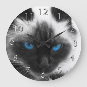Siamese katt stor klocka