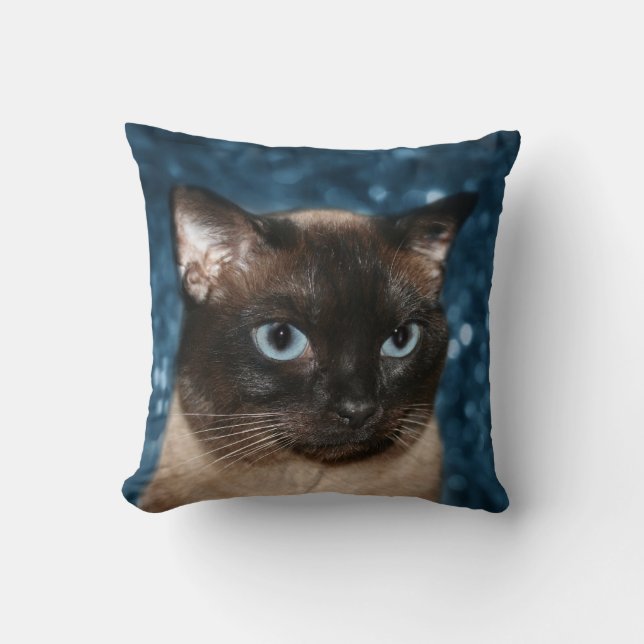Siamese kattansikte kudde (Framsida)