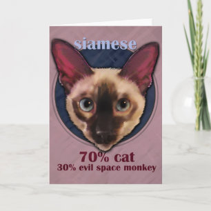 Siamese kattansiktekort kort