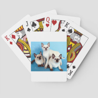 Siamese katter spel kort