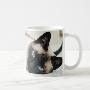 Siamese kattkaffemugg kaffemugg
