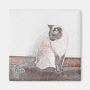 Siamese kattmagnet magnet