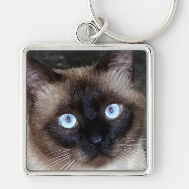 Siamese kattporträtt fyrkantig silverfärgad nyckelring (Framsidan)
