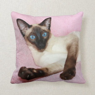 Siamese kattrosabakgrund kudde