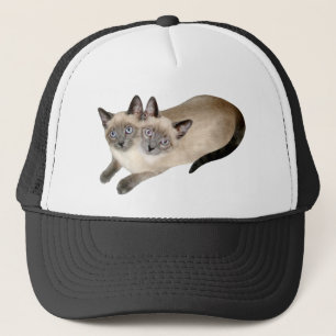 Siamese katttwillingar keps
