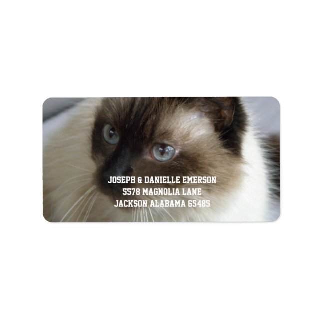 Siamese Kattunge Adressetiketter (Framsidan)