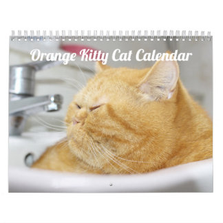 Siamese Kattunge Cute 2021 Kalender