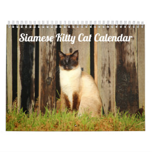 Siamese Kattunge Cute 2021 Kalender