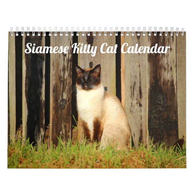 Siamese Kattunge Cute 2021 Kalender (Omslag)