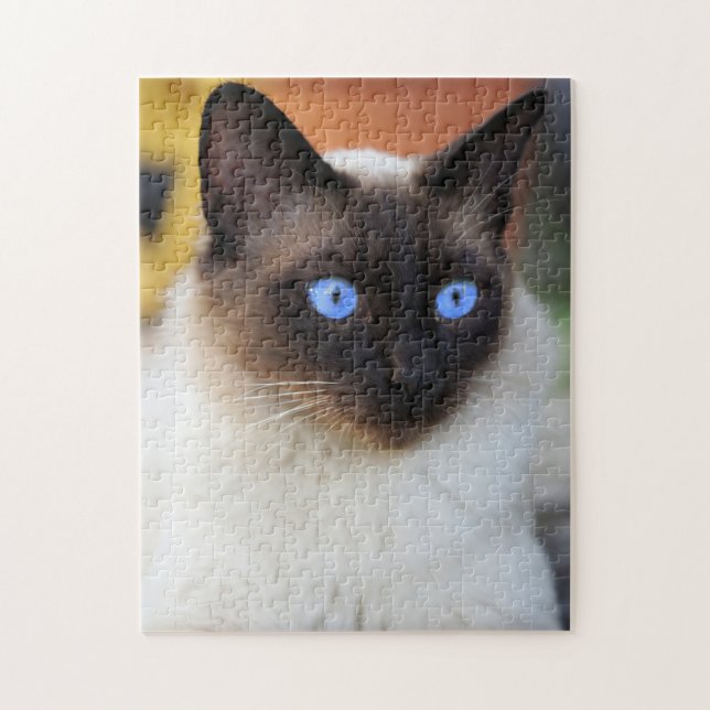 Siamese kattunge med vackra, blå öga pussel (Vertikal)