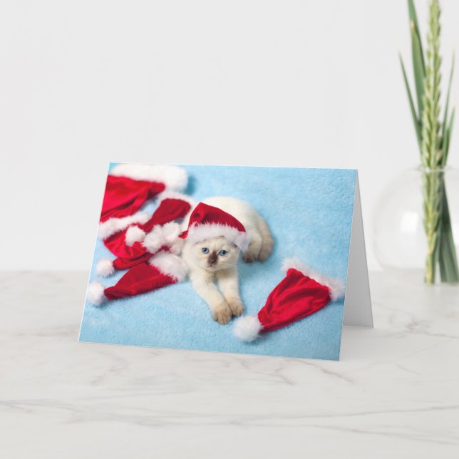Siamese kattunge: Santa hattar Helgkort (Framsida)