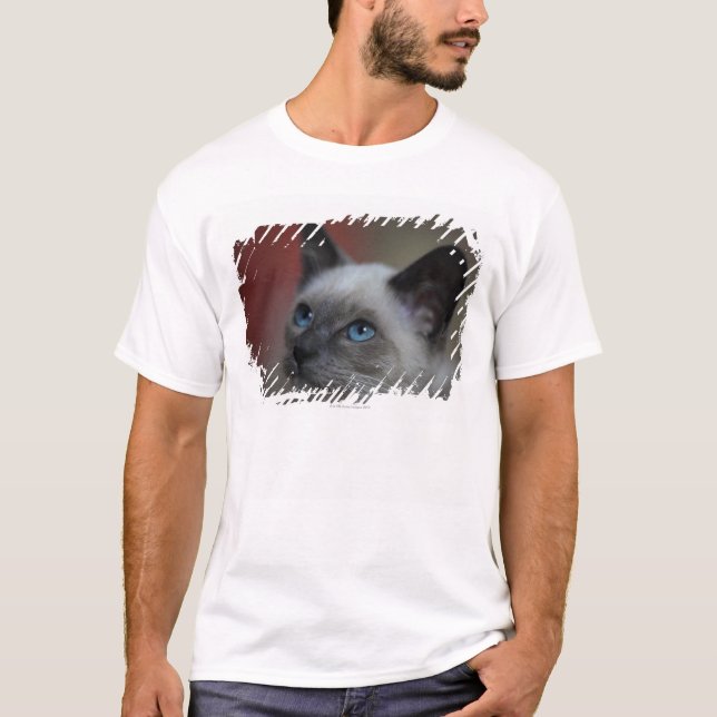 Siamese kattunge t shirt (Framsida)