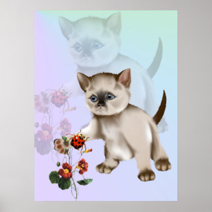 Siamese kattunge VS nyckelpigaaffischen Poster