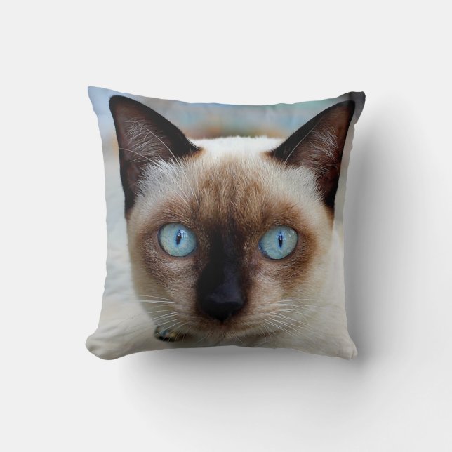 Siamese kattungeansikte kudde (Framsida)