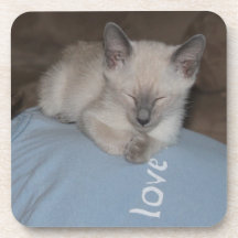 Siamese kattungekustfartyg