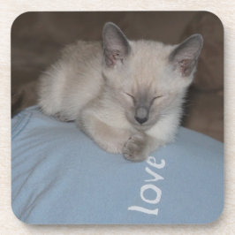 Siamese kattungekustfartyg underlägg