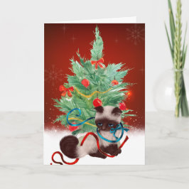 Siamese Kitten julkort Helgkort