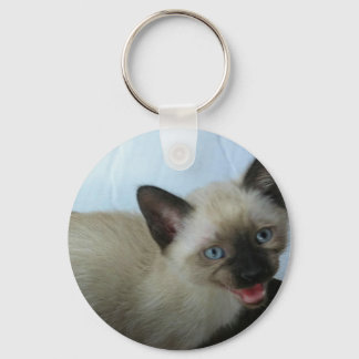 Siamese kitten key chain nyckelring